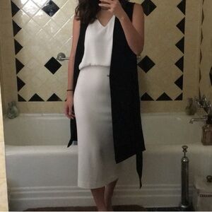 Aritzia Babaton Mid-rise Pencil Skirt XS